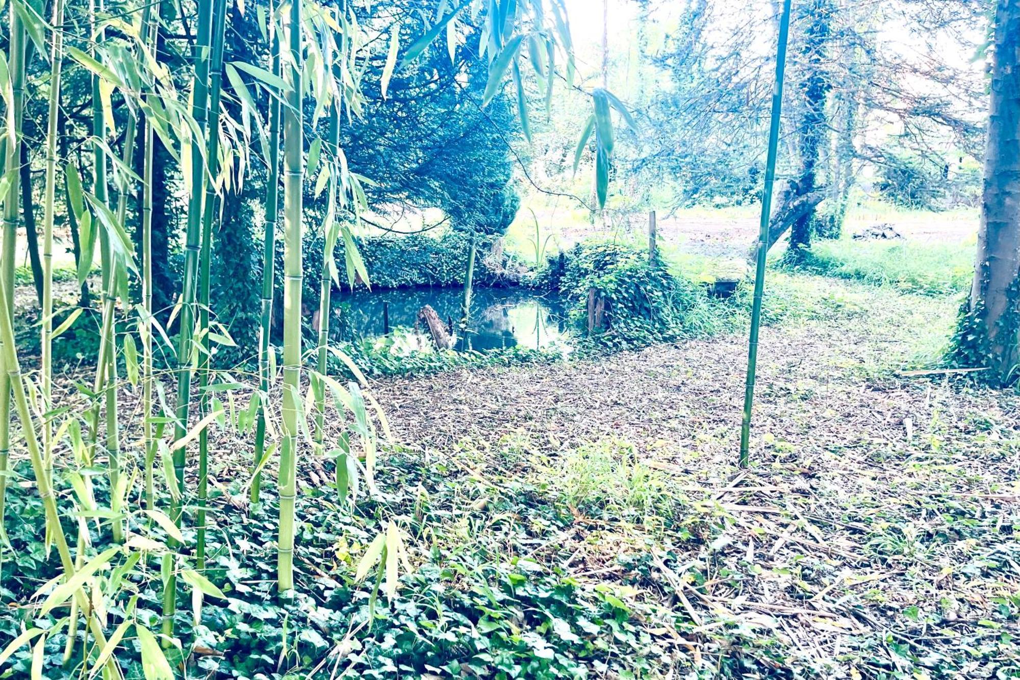 Villa Edouard - 180M2 In Nature & Forest - 20Min Disney - 7Min Airport Claye-Souilly Dış mekan fotoğraf