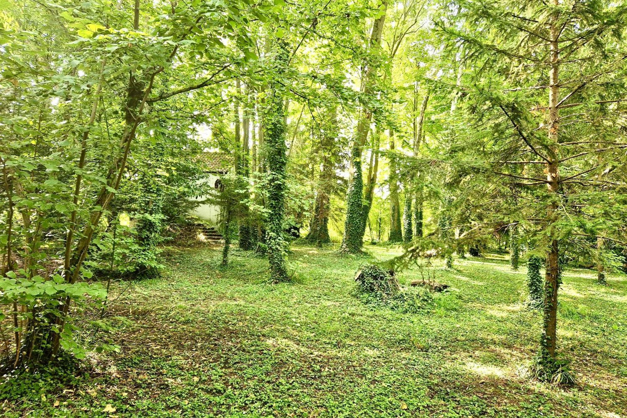 Villa Edouard - 180M2 In Nature & Forest - 20Min Disney - 7Min Airport Claye-Souilly Dış mekan fotoğraf